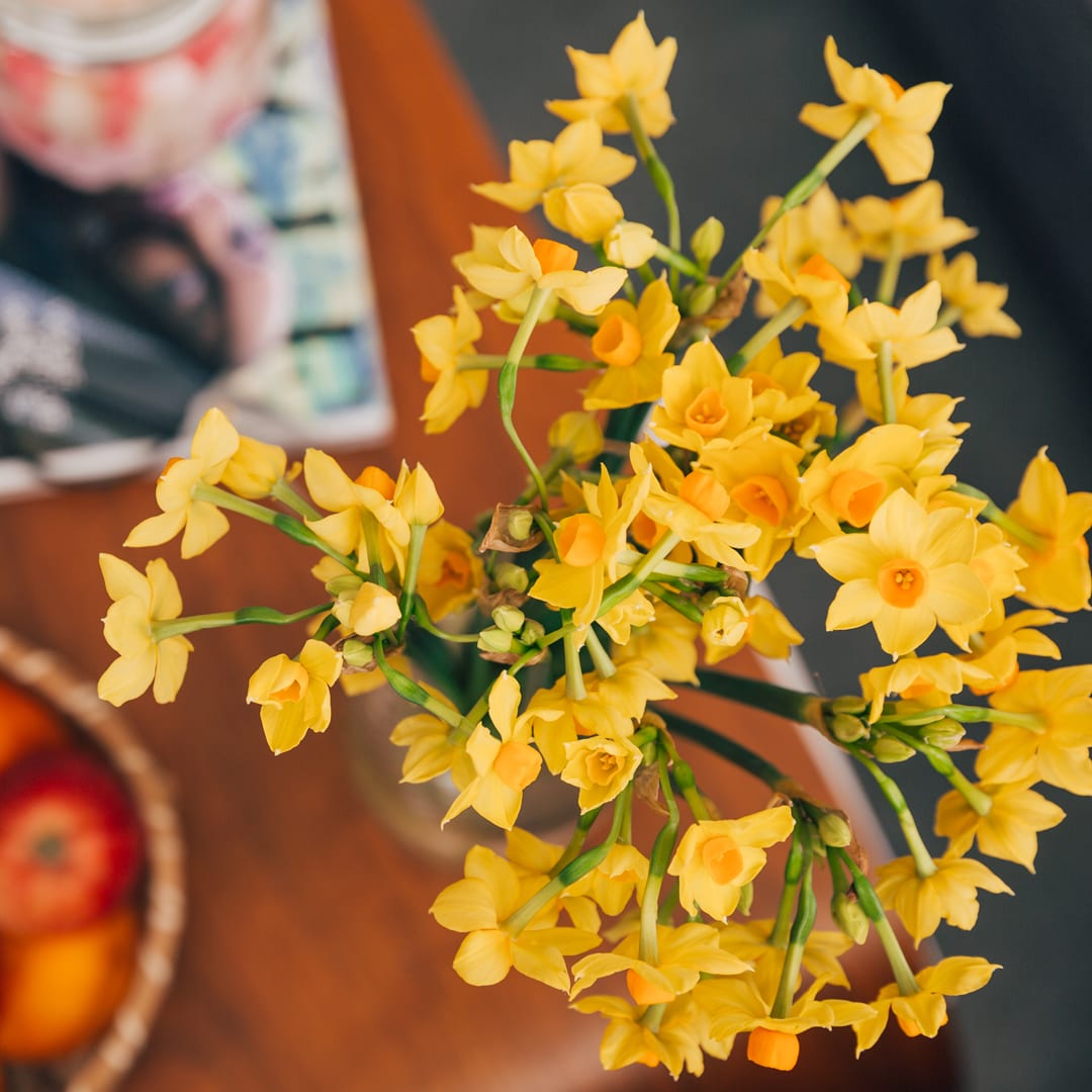 Hands up who's got their first bunch of daffs in 2020! They may look delicate but daffodils are tough little flowers that can grow through the snow, making them the friendliest fellas to announce that Spring right around the corner 🌼