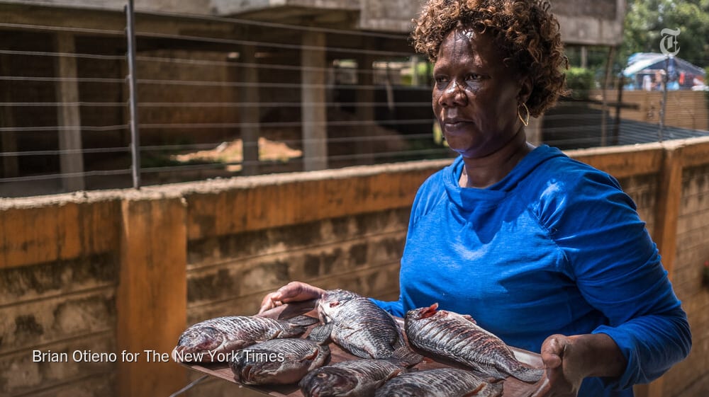 Caroline Onyango in Nairobi is one of thousands of travel and hospitality workers in East Africa whose livelihoods were decimated by the loss of international tourism. She now fries fish to barely get by.