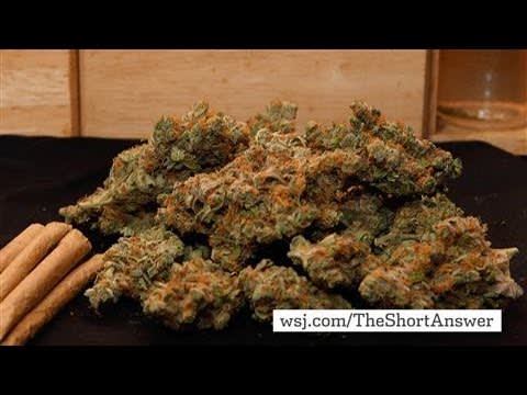 Legalizing Marijuana on Ballot in Five States
