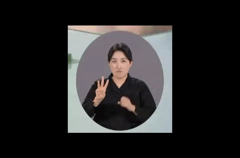 Sign language interpreter gives a rather vivid explanation of Korea's rocket launch