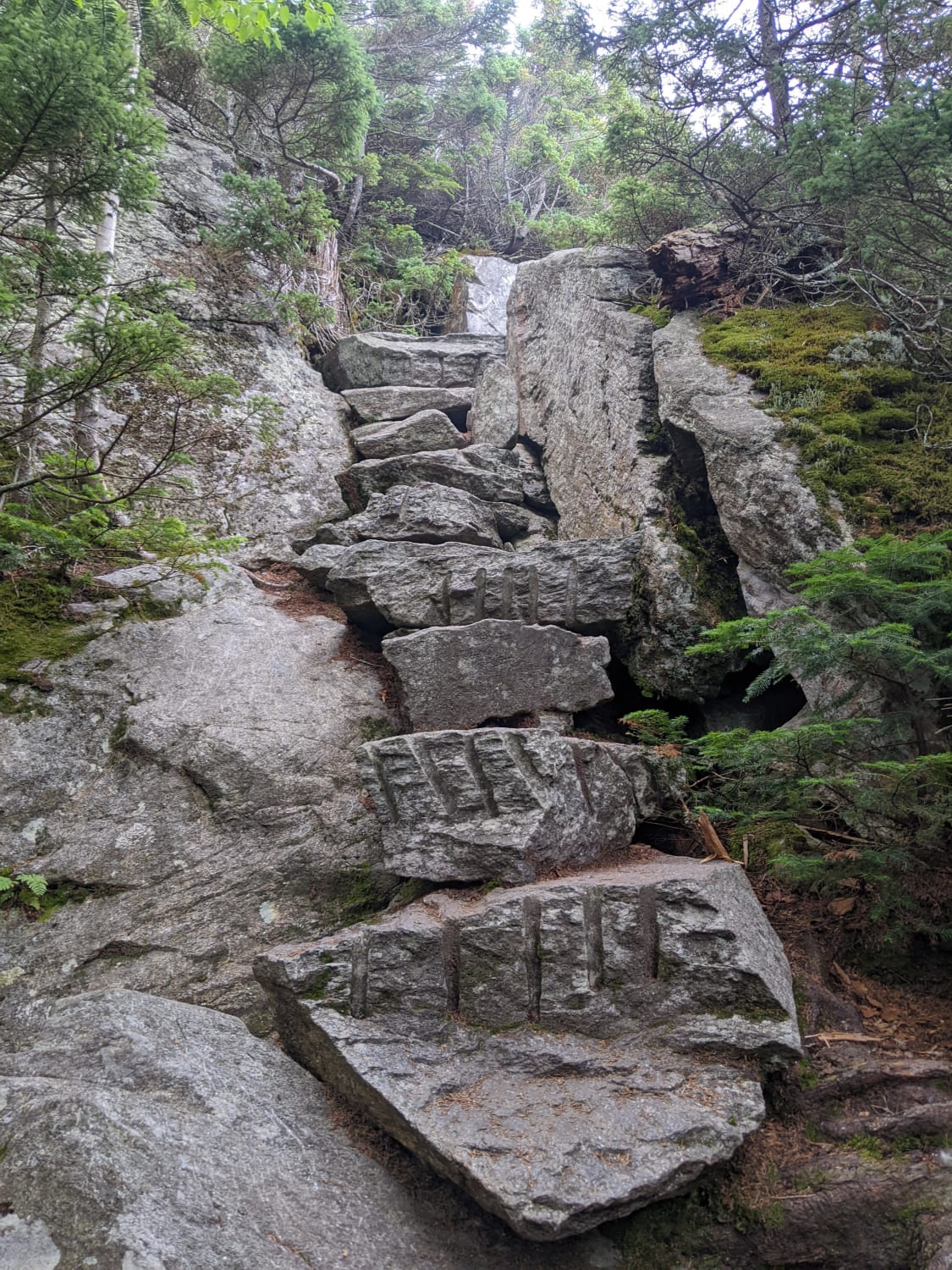 Steps leading up to Wildcat Mountain summit in the White Mountains National Forest, NH.