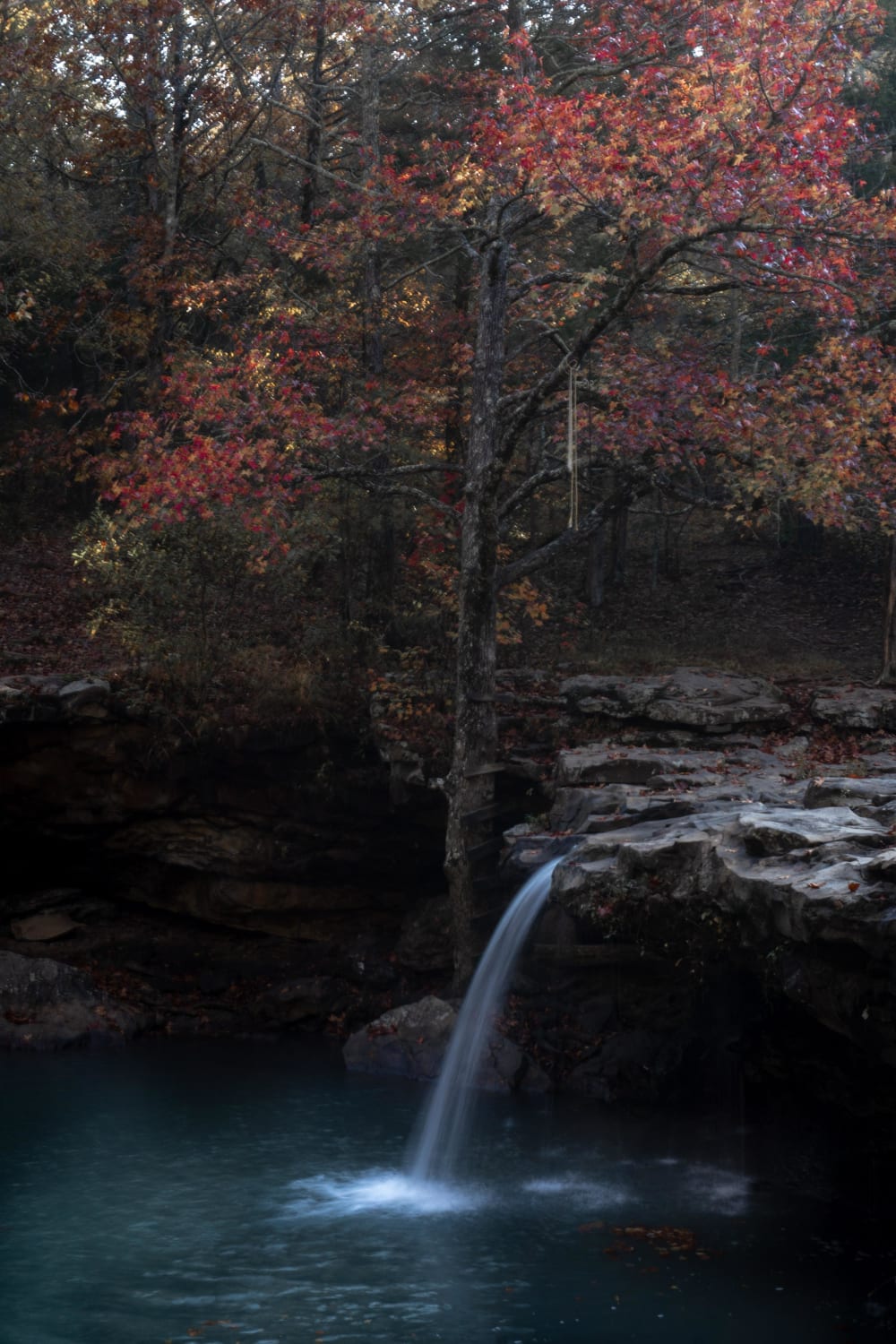This zen little waterfall with a maple behind it and deep blue pools below it. Falling Water Falls, Arkansas.