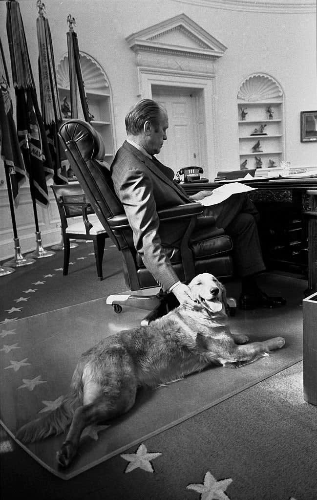 President Gerald Ford and his golden retriever Liberty, in the Oval Office on November 7, 1974. Two days earlier, Democrats had made large gains in the 1974 midterms in the wake of Ford’s pardon of Richard Nixon.