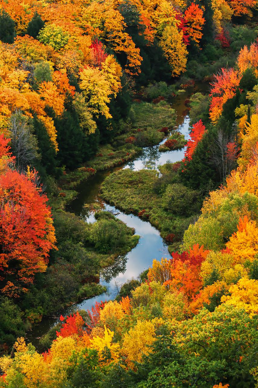 One of the best autumn displays I have seen, 12 years ago in the Porcupine Mountains of Michigan