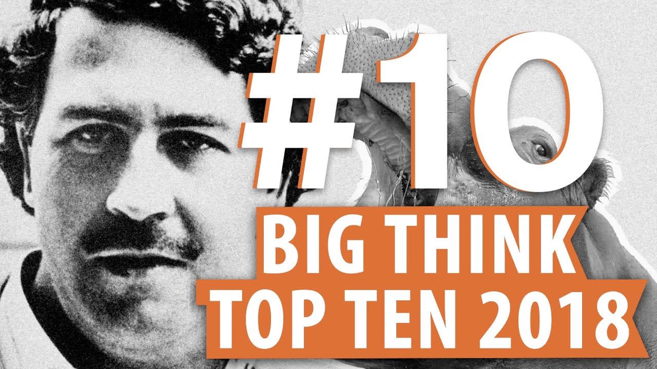 Pablo Escobar’s hippos: Why drug lords shouldn’t play God | Big Think Top 10 2018 #10 | Lucy Cooke