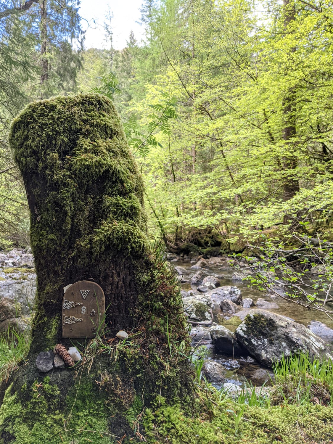 Found a little "street" of fairy houses out in the forest of Argyll, Scotland.