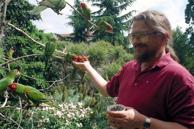 Gather 'round for family night and flutter among THE WILD PARROTS OF TELEGRAPH HILL on July 21 at 4 PM! Join Mark Bittner as he finds his calling among parrots, navigating through homelessness whilst living as vibrantly and colorfully as the birds. ✨