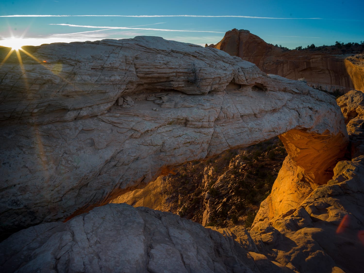 Mesa Morning. Canyonlands National Park, Utah