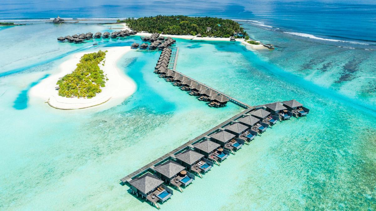We paid £22k for a year in the Maldives