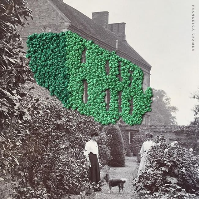 Now this is my kind of garden... embroidered ivy climbing the walls! 🌿 Work by Francesca Cramer on the site today: