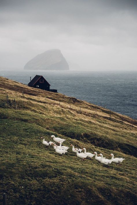 Faroe Island Weather (Guide With Pictures)| Paxton Visuals