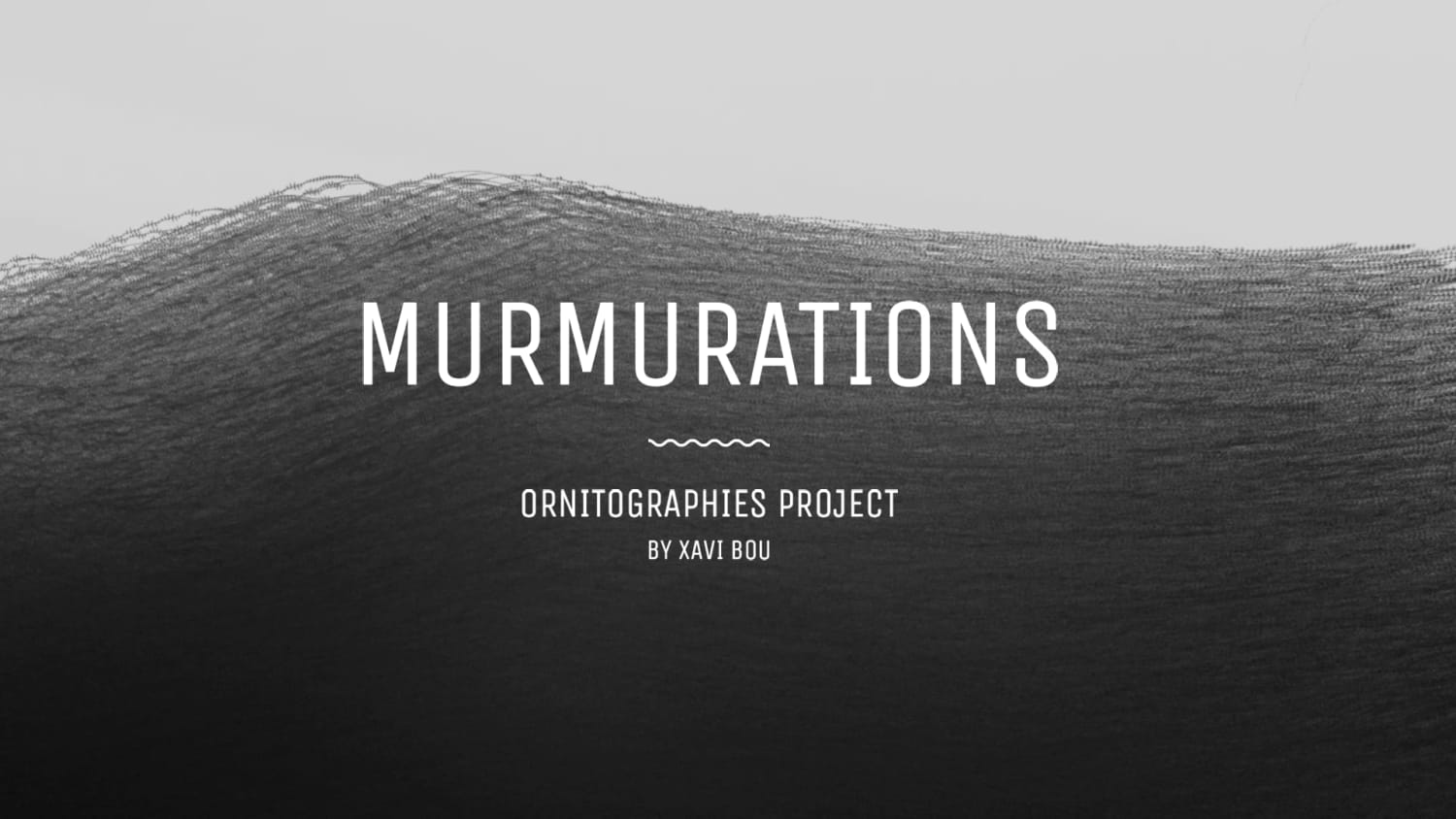 Murmurations; Ornitographies project