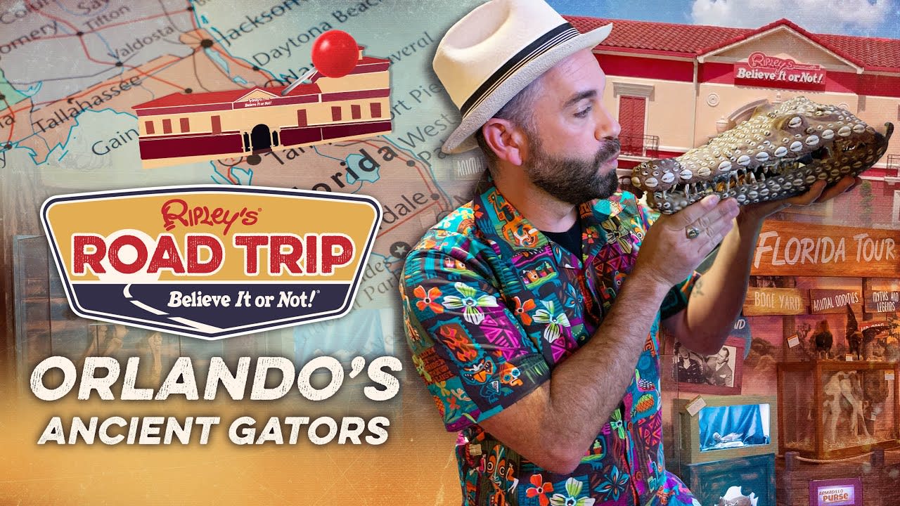 Ripley’s Road Trip: Orlando’s Ancient Gators