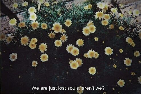 " Nós somos apenas almas perdidas, não somos ? "