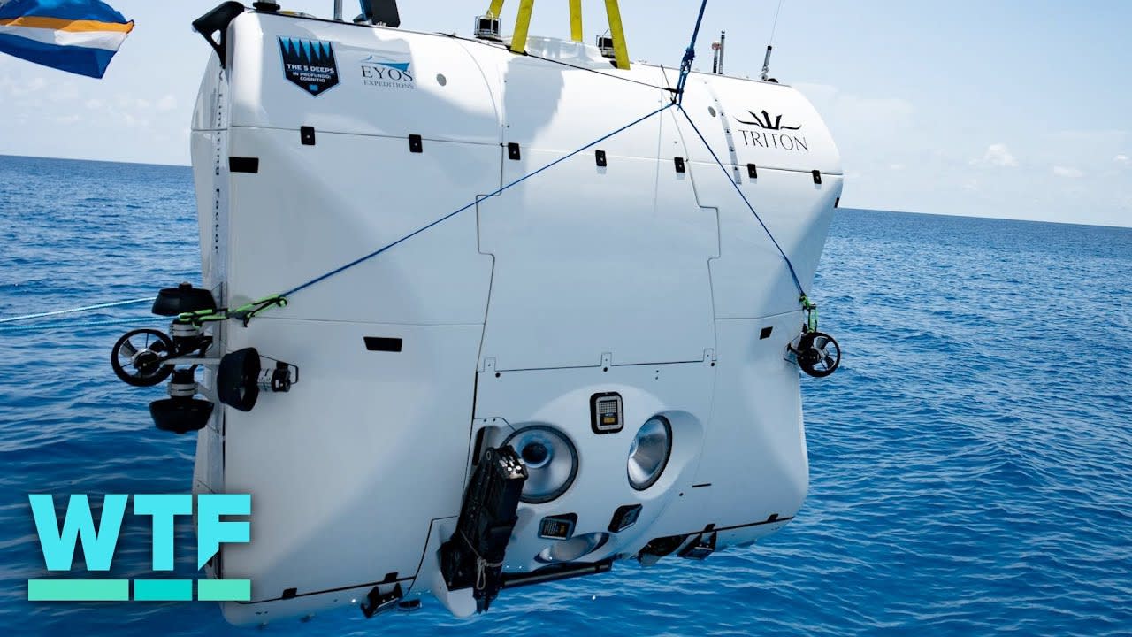 Record-breaking Mariana Trench dive | What the Future