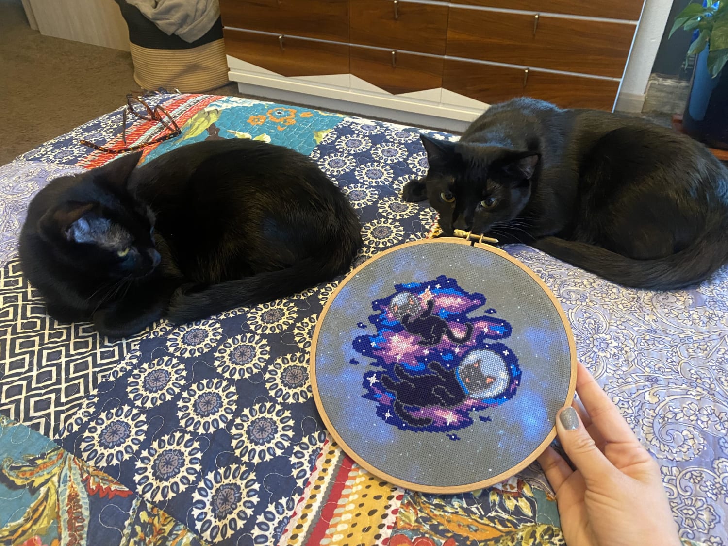 [FO] Literally just finished the last stitch on this…my two catstronauts with their portrait! 😻👩‍🚀✨