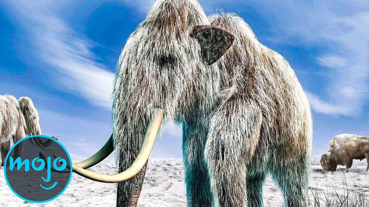 Top 10 Animals Scientists Want to Bring Back From Extinction