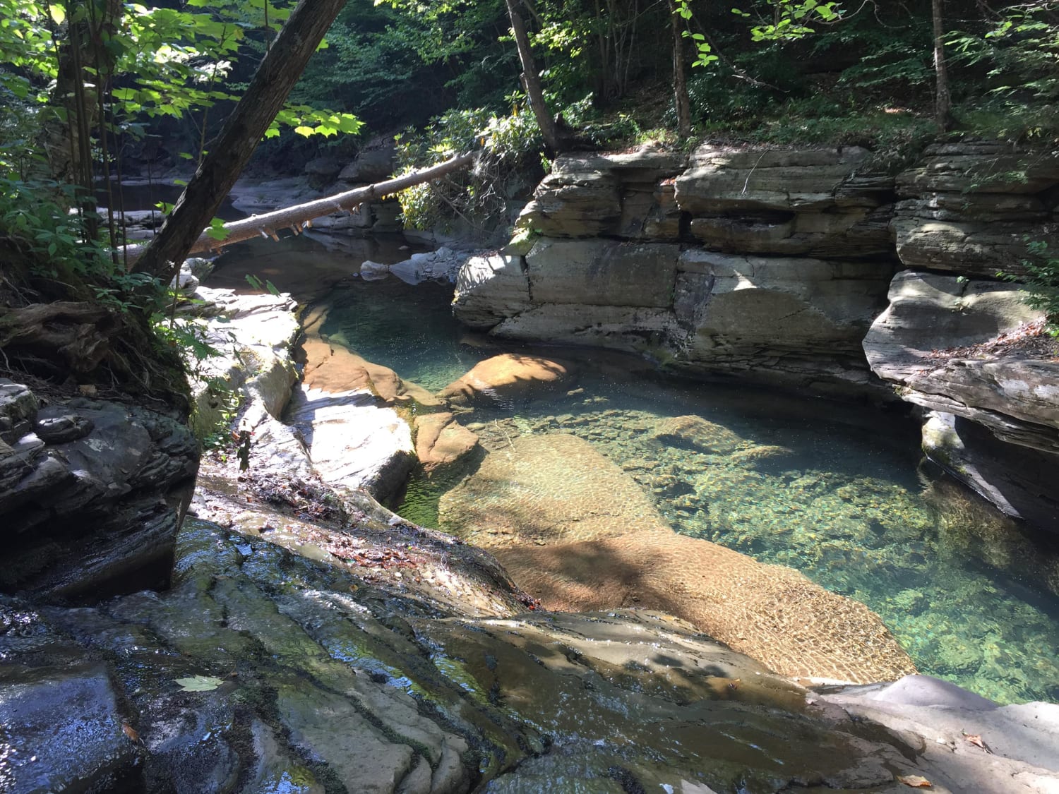 Nice swimming hole on the Old Loggers Path in Pennsylvania