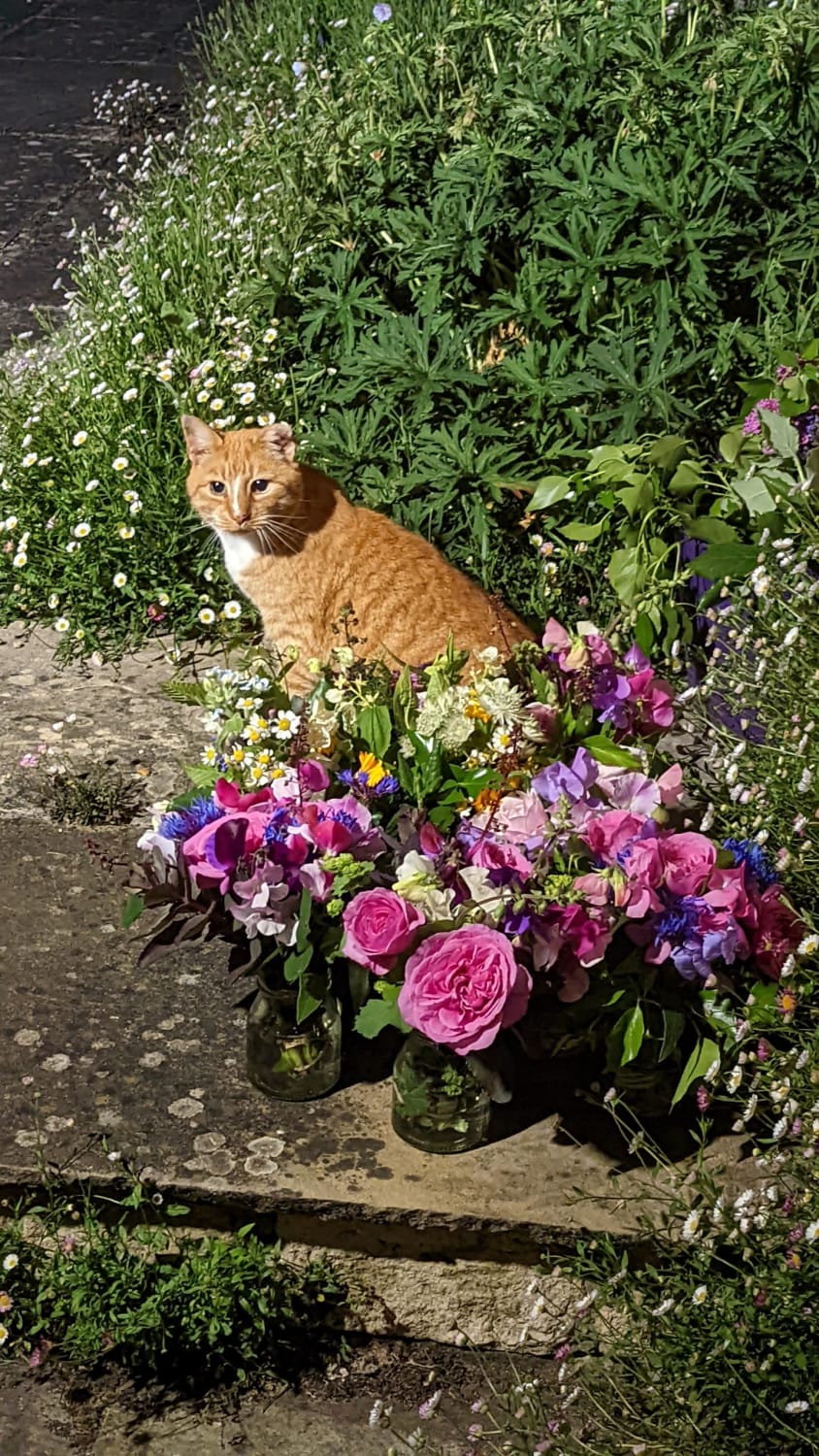 Florist cat hopes you enjoy the flowers he has prepared. The invoice is in the post.