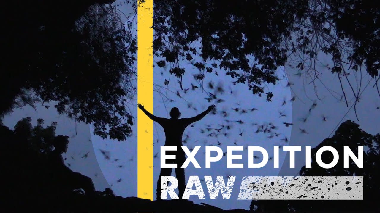 Bat Man of Borneo | Expedition Raw