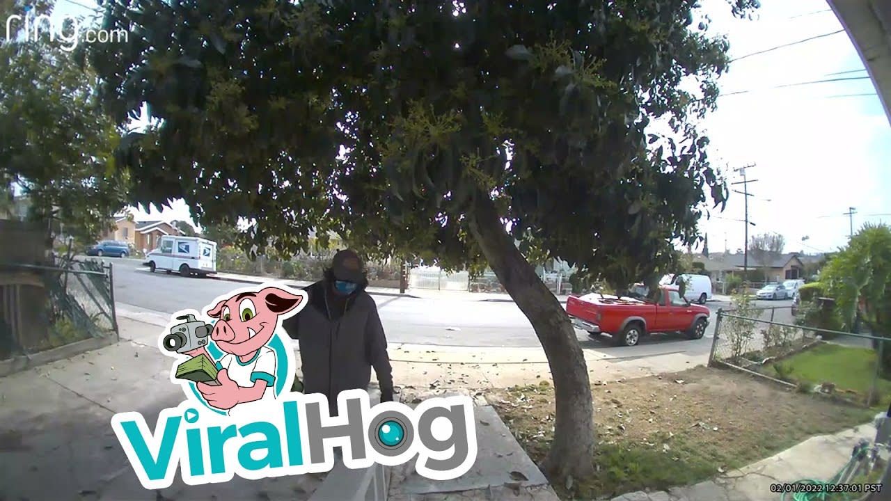 Potential Porch Pirate Caught on Doorbell Cam || ViralHog