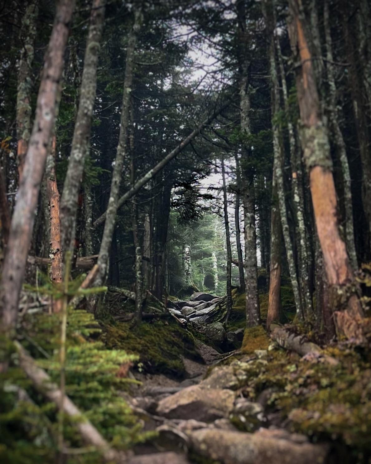 Kinsman Trail, which runs on the Appalachian Trail, is another great example of the rugged and moody beauty of The White Mountains in New Hampshire.