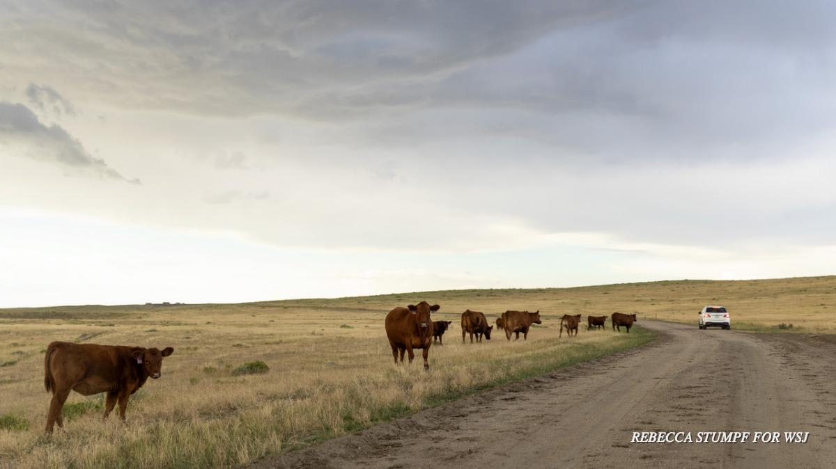 Baby boomers are leaving behind a trail of luxury ranches