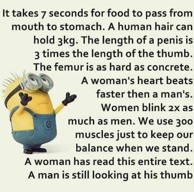 Pin by Janelle Janzen on Funny | Super funny quotes, Fun quotes funny, Funny minion quotes