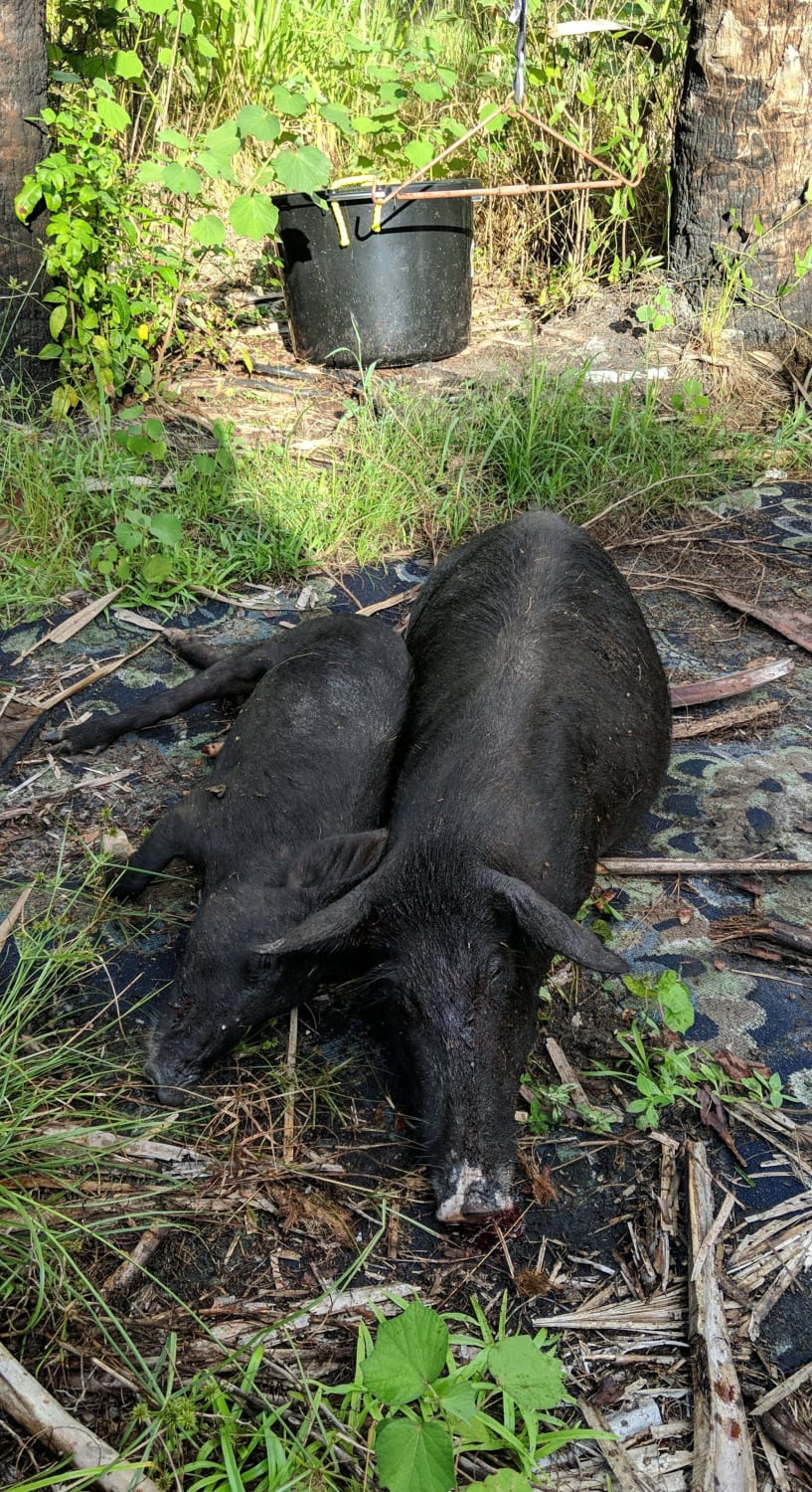 2 down in south florida!