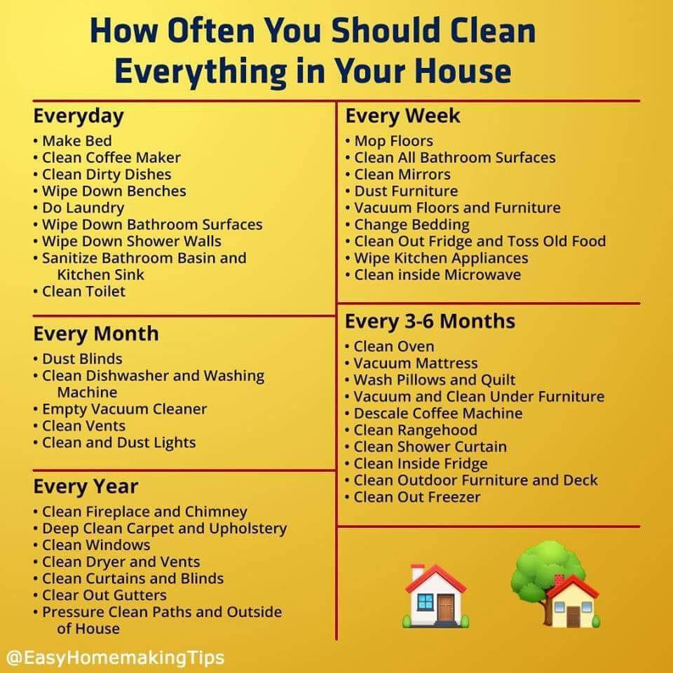 Frequency of home cleaning tasks