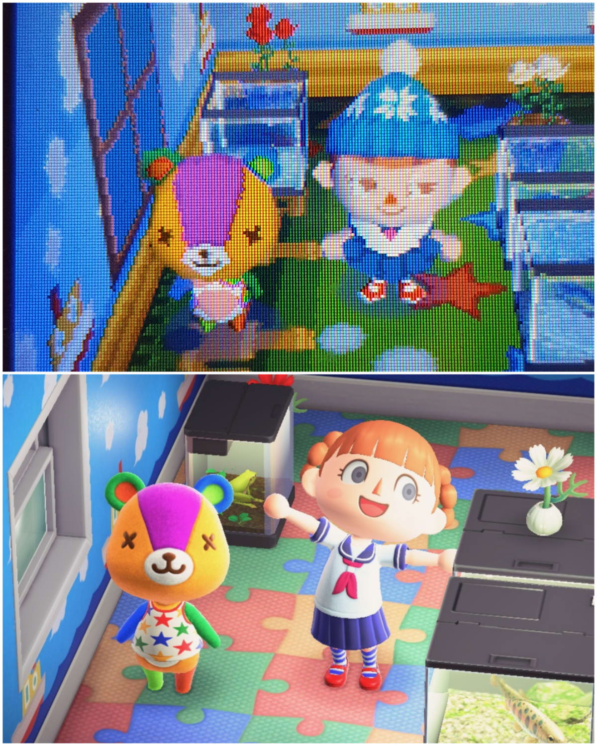 Recreated Stitches'... Interesting? decor choices from my Wild World town! I've had my island for almost two years and the difference in quality still blows my mind.