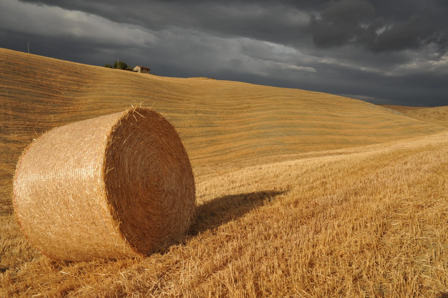 Bale of Straw in Tuscany