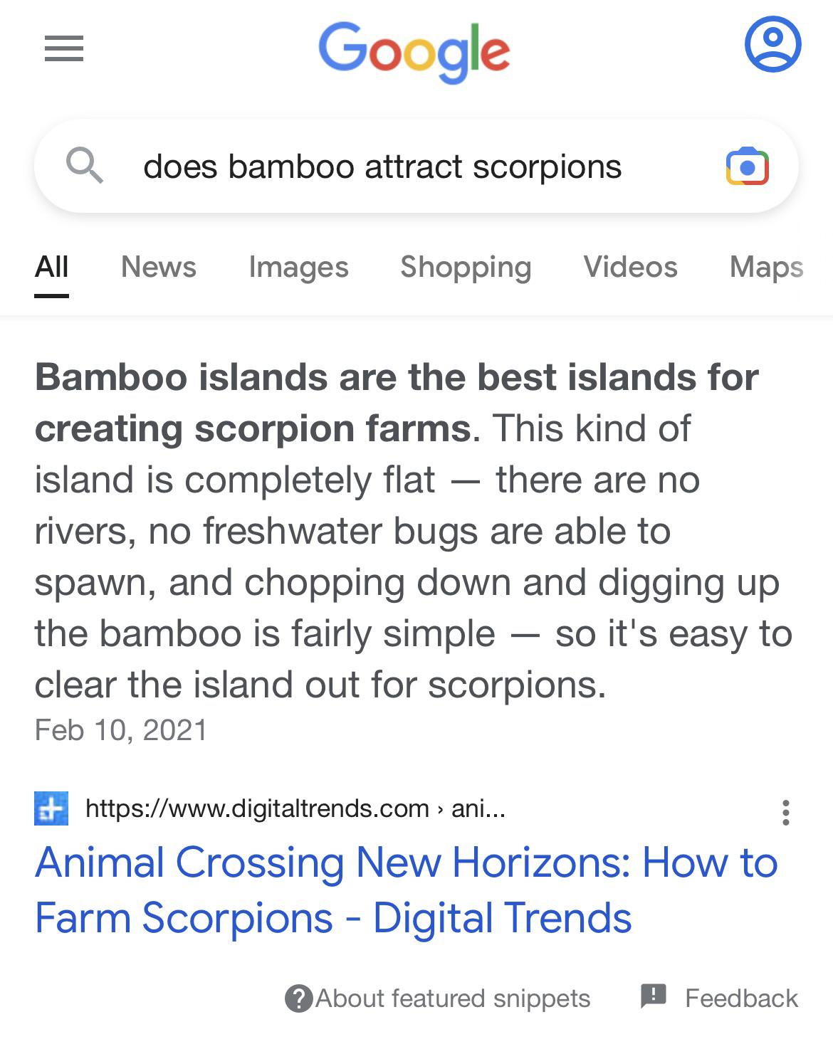 I meant to research bamboo for my real life garden, but it’s nice to know Animal Crossing information was the leading search result lol.