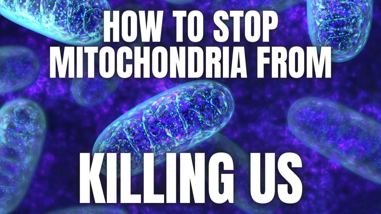 Mitochondria Beyond The Meme - Immortality Explained Part 4