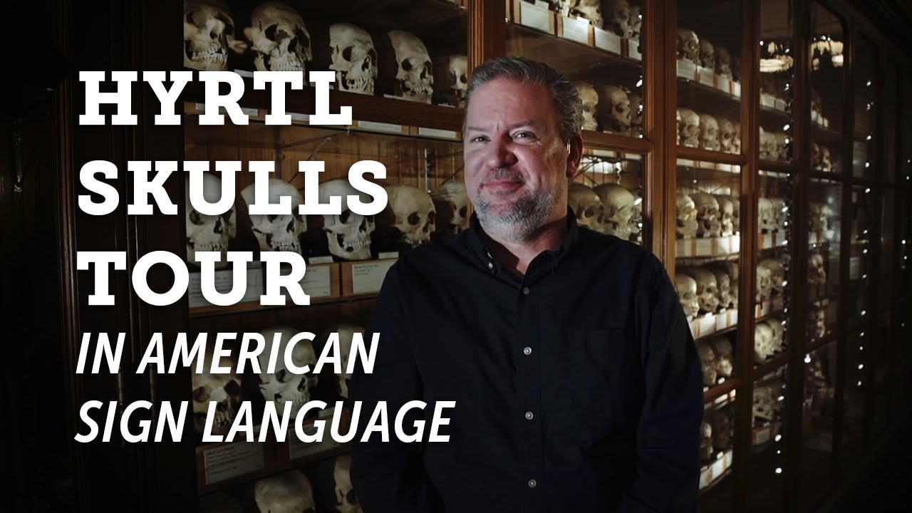 Mütter Museum American Sign Language Tour: Hyrtl Skull Collection