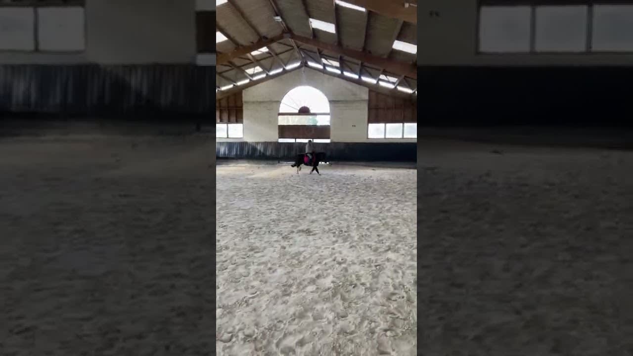 Girl Faceplants While Riding Pony - 1286796
