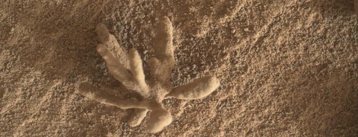Cool mineral flower taken by the Mars rover.