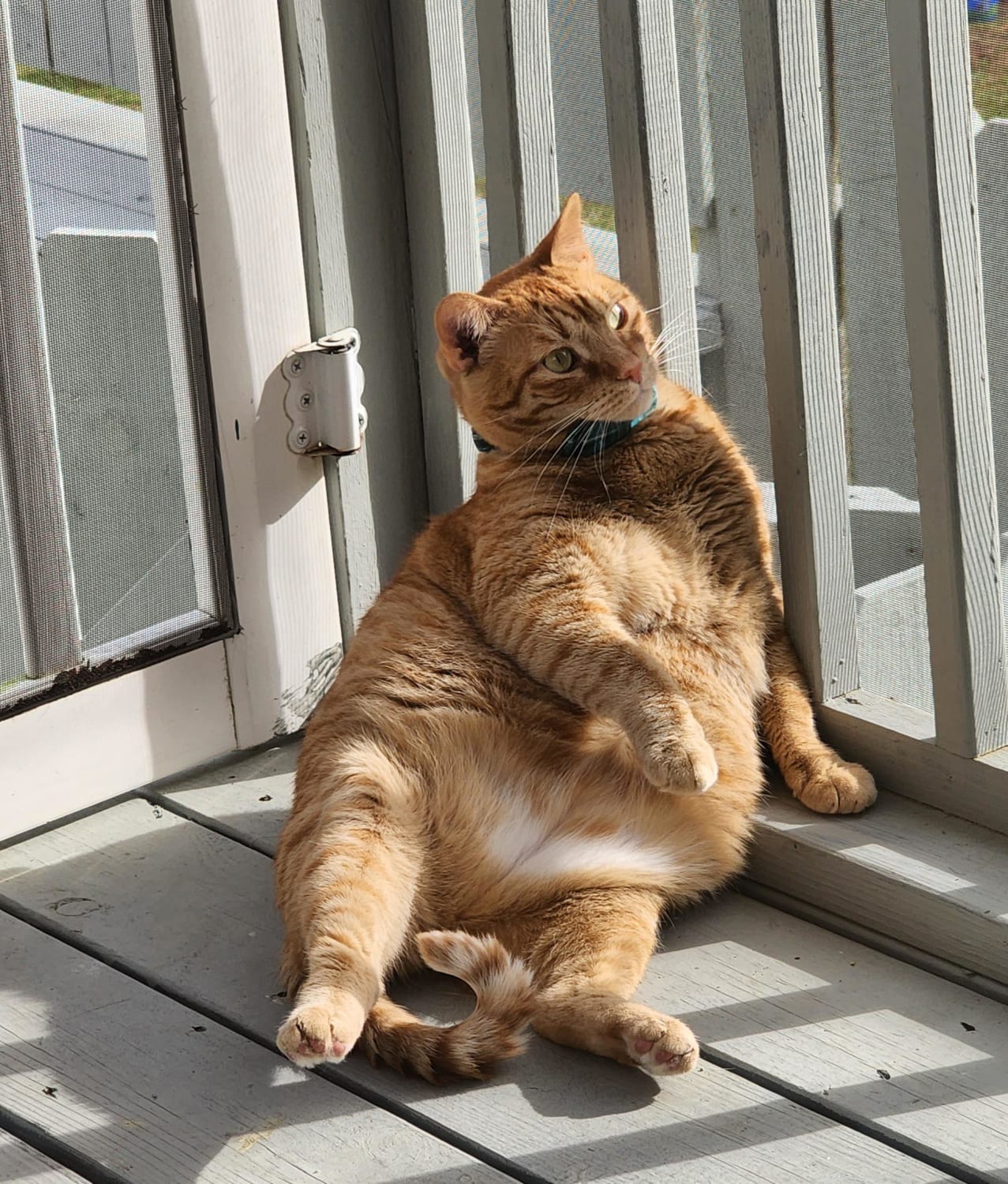 Marco sunbathing and showing off his figure.
