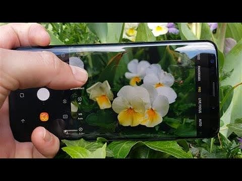 Samsung Galaxy S9: Putting The Camera to the Test