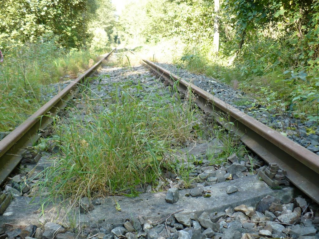 Unique gorgeous steel narrow-gauge railway (760 mm) for ye olde train cars near Cernovicky potok, Tabor, South Bohemia