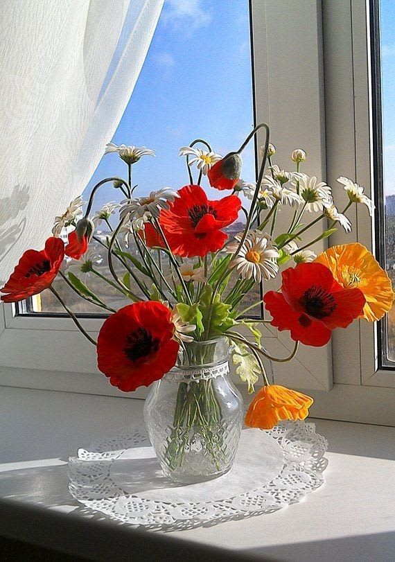 Épinglé par Carolina Mottl sur Good Morning 2 | Marguerite fleur, Fleurs sauvages, Arrangements floraux