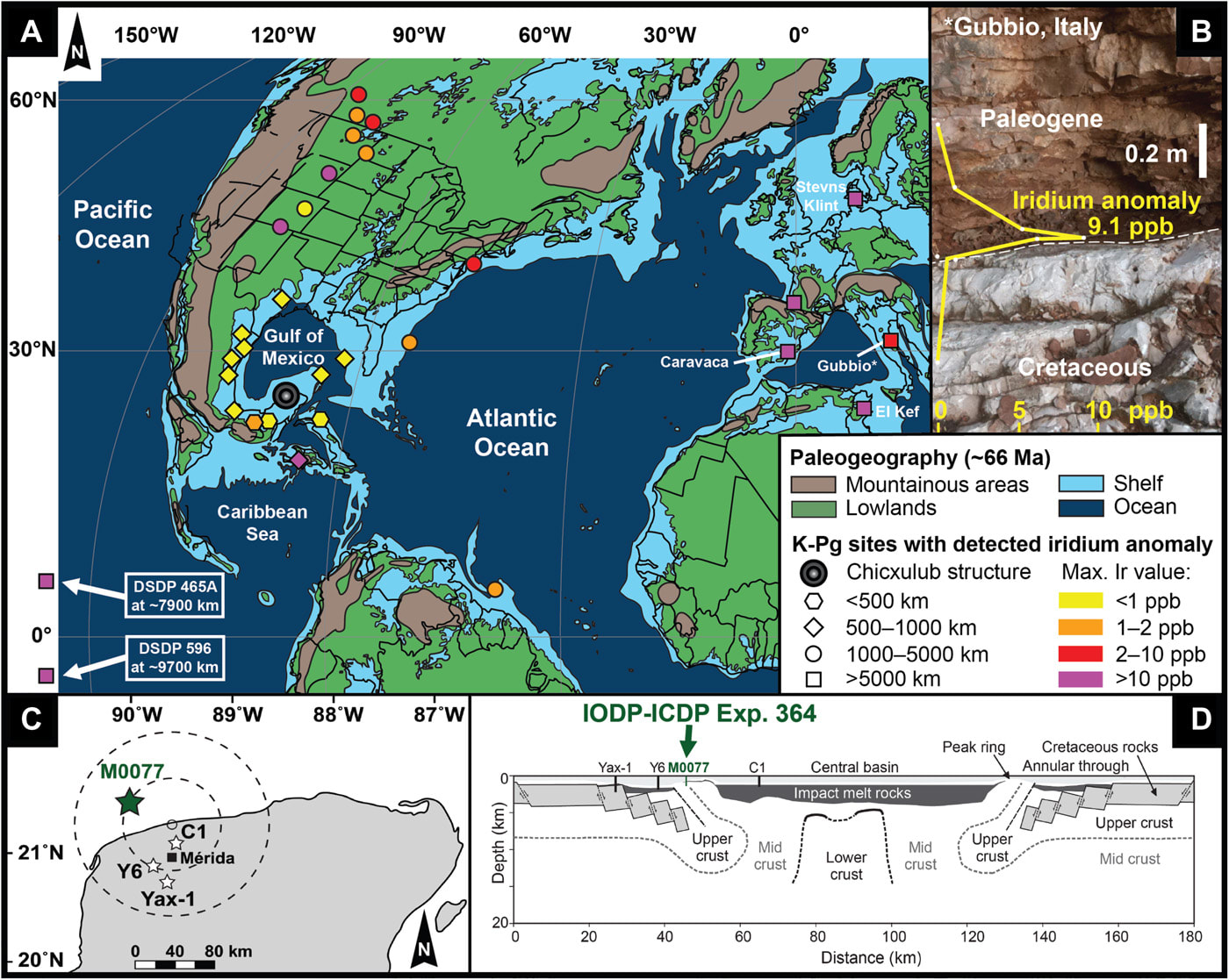 Globally distributed iridium layer preserved within the Chicxulub impact structure