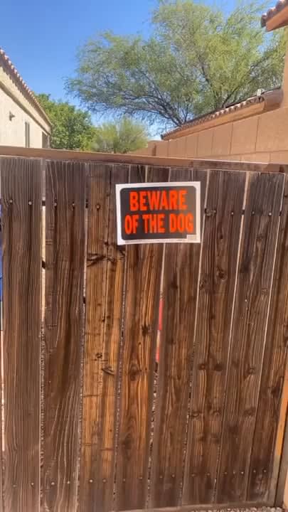 Beware of the dog