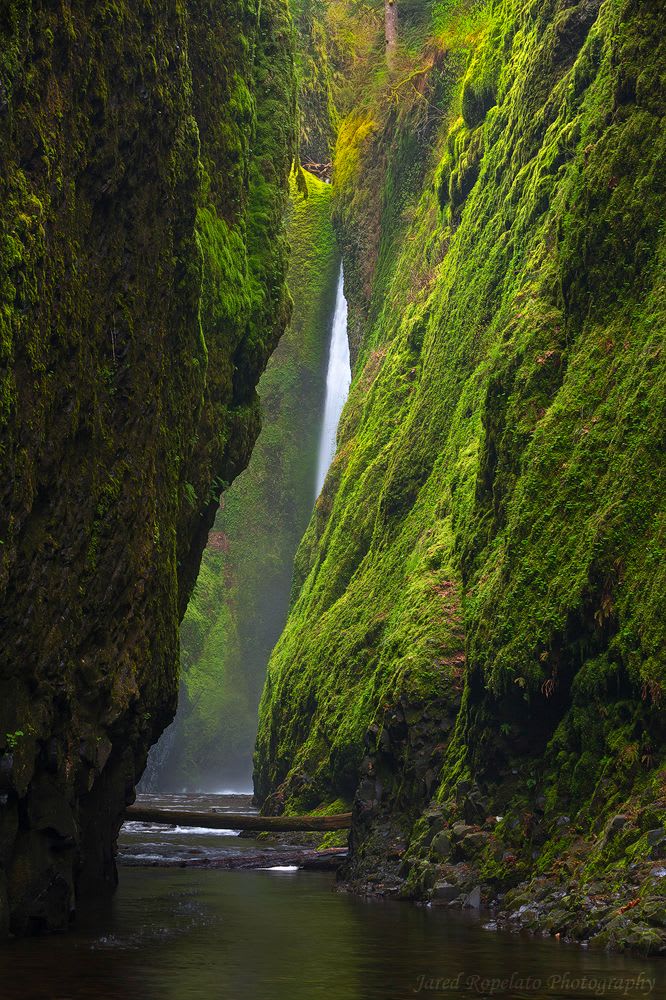 Oregon Waterfall Photography