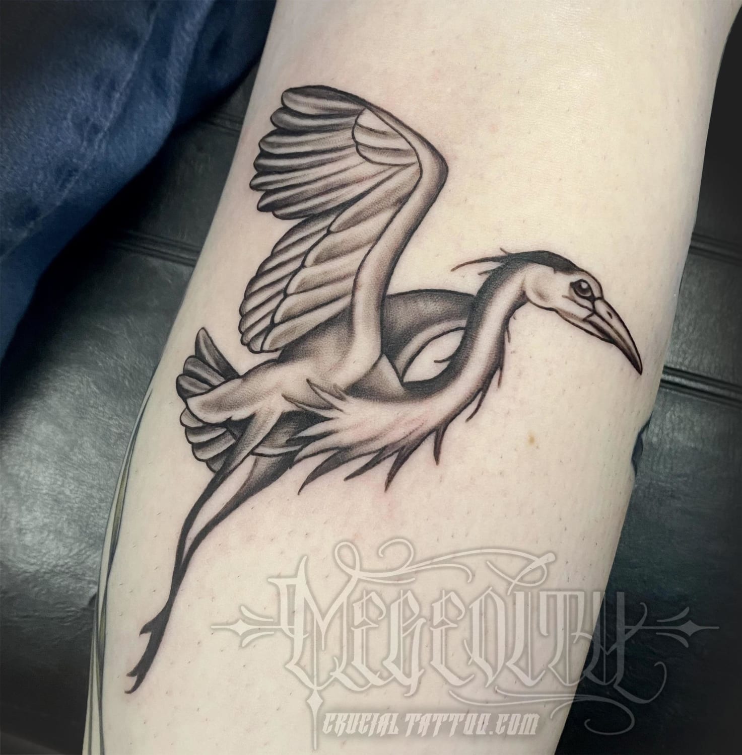 Heron done by me at Crucial Tattoo Studio in Salisbury MD