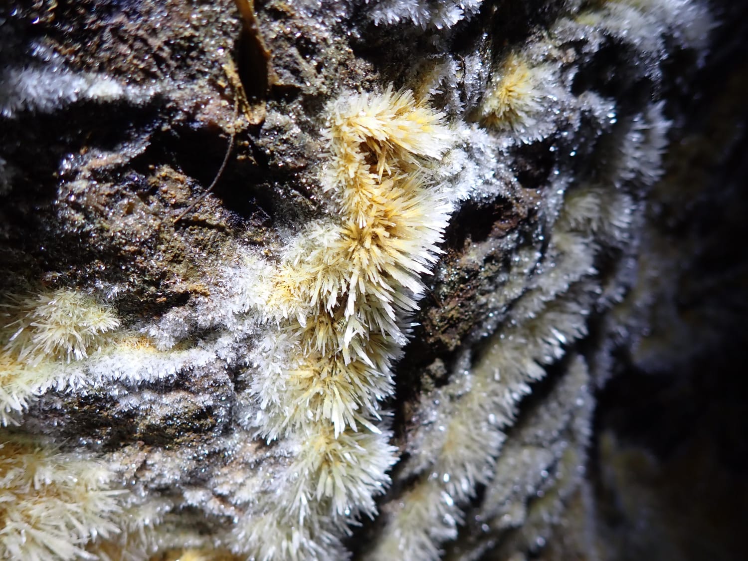 Gypsum crystals found in-situ underground in Ma On Shan iron mine, Hong Kong