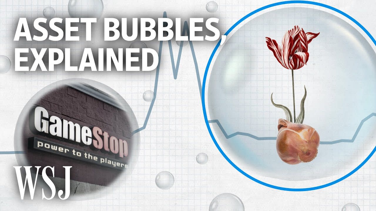 How Do Bubbles Form? Gamestop and Tulips Can Help Explain | WSJ