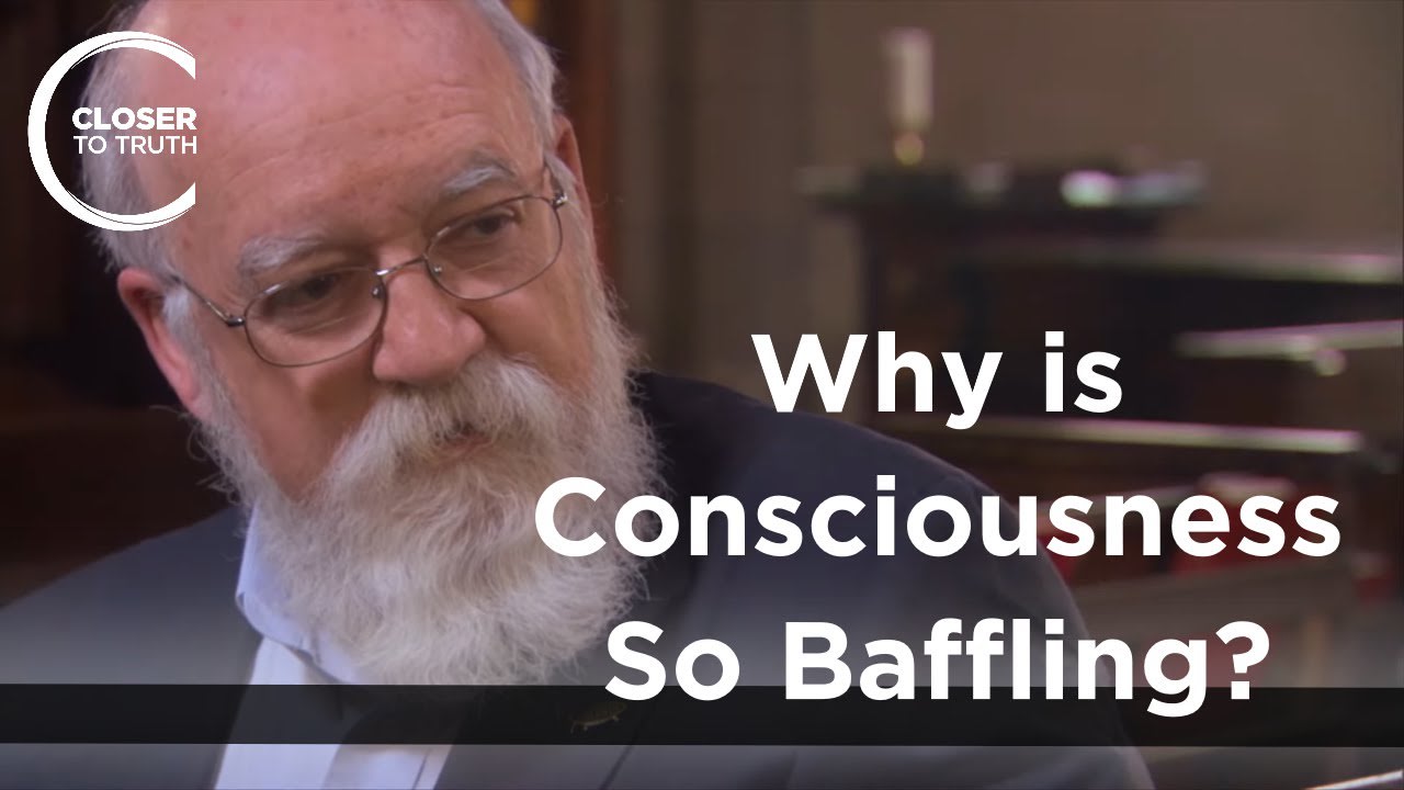 Daniel Dennett - Why is Consciousness So Baffling? (Part 2/2)