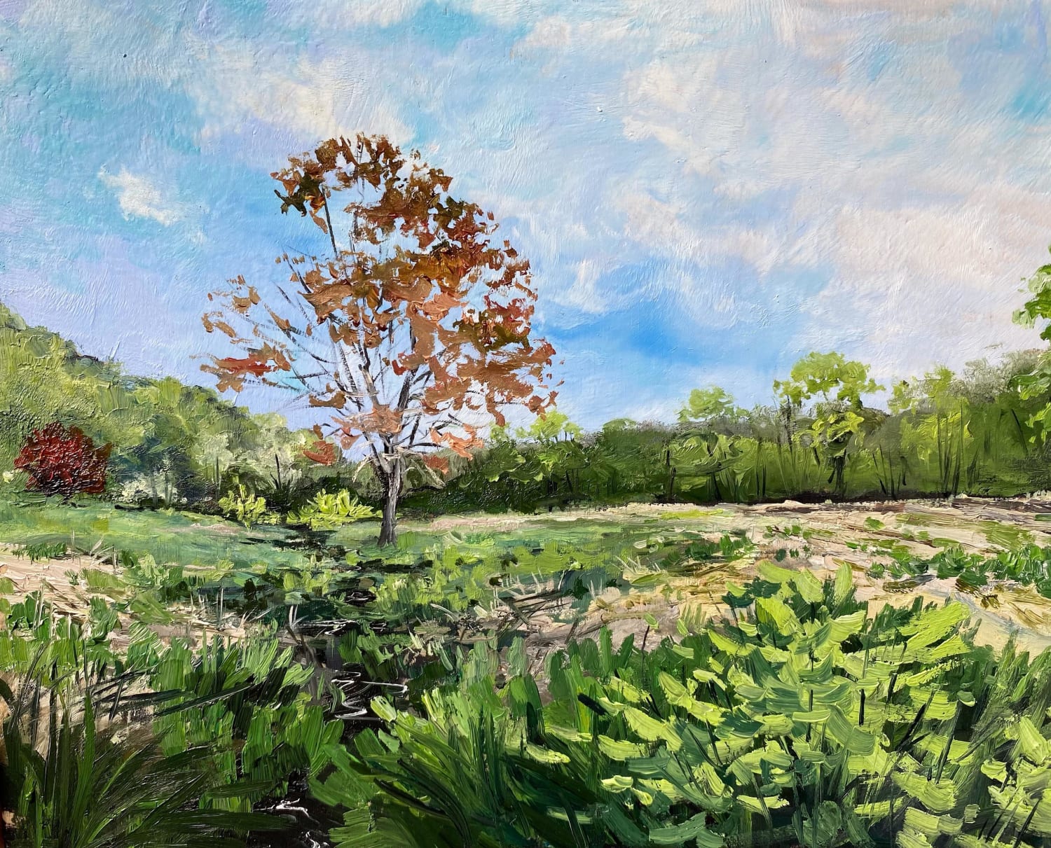 It’ll be a community garden as of this summer. I tried to capture the wildflower field that I’ve known for the last 12yrs. ‘Field behind the Bog’” oil