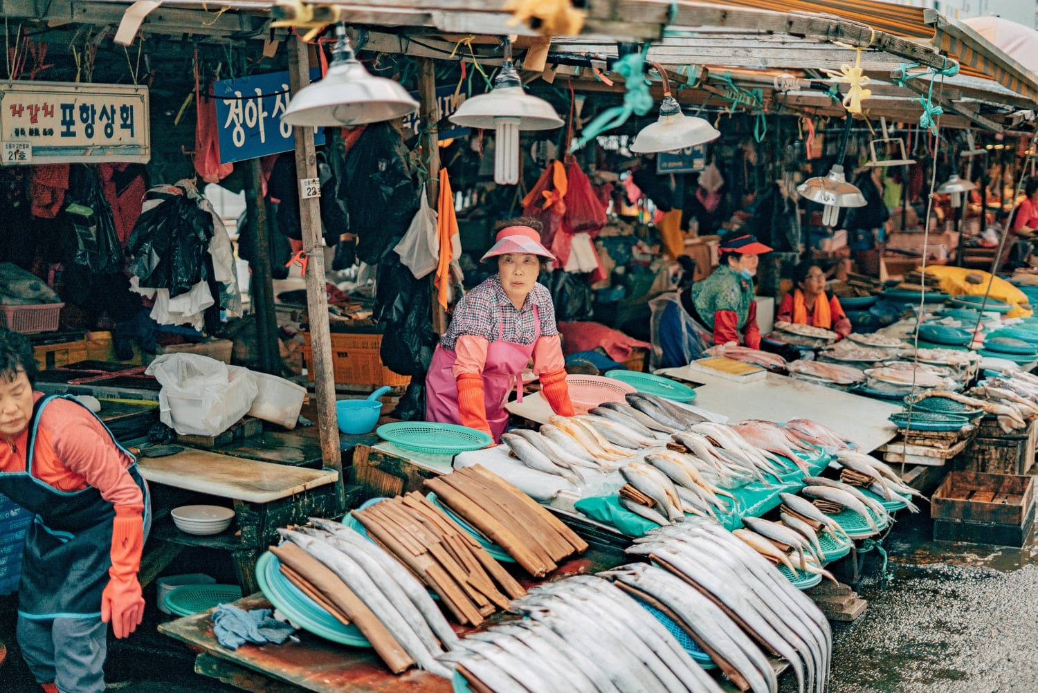 Jagalchi Market, Jung-gu, Busan, South Korea (Photo credit to Daniel Bernard)